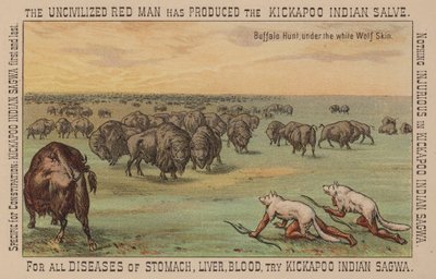 Nativos americanos con pieles de lobo blanco cazando búfalos de American School